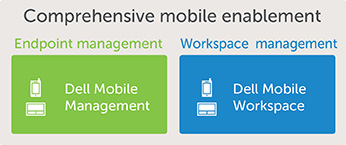 Comprehensive Mobile Enablement